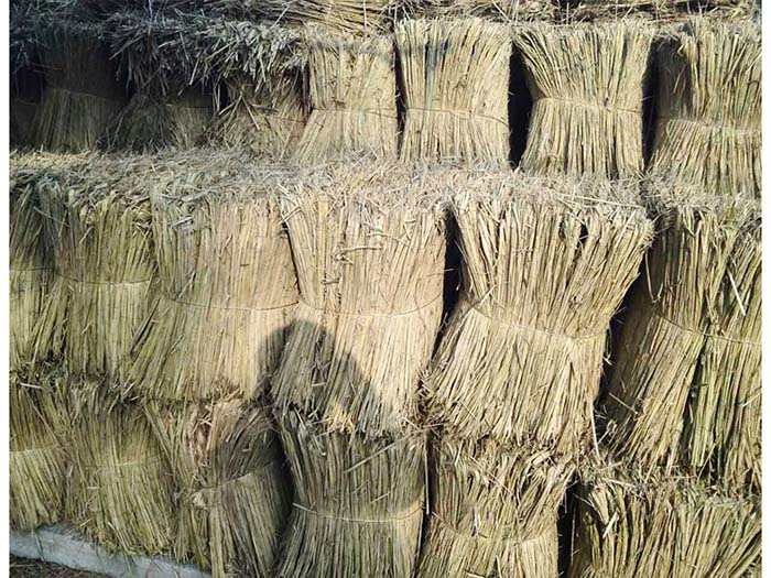 戳我试试